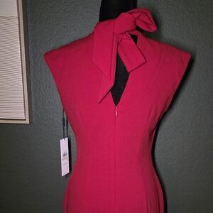 Calvin Klein Collection Vibrant Pink Dress